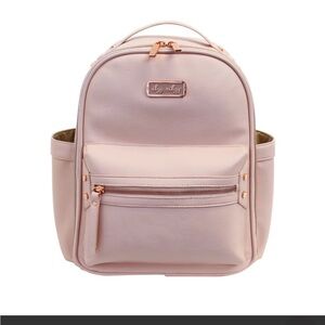 Itzy Ritzy Blush Itzy Mini Diaper Bag